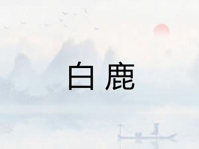 白鹿