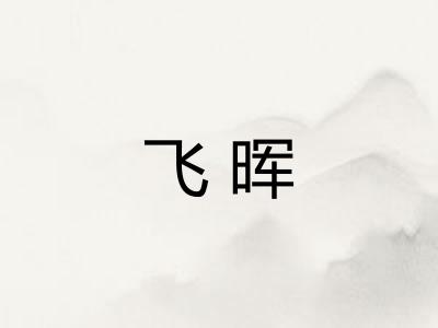 飞晖