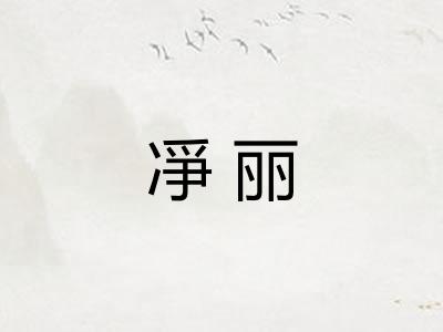 凈丽