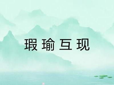瑕瑜互现