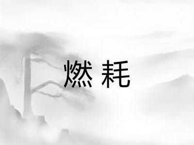 燃耗