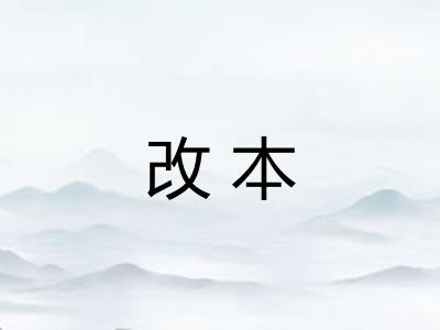 改本