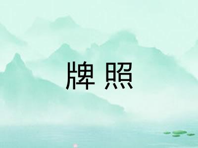 牌照