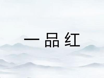 一品红