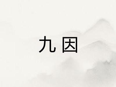 九因