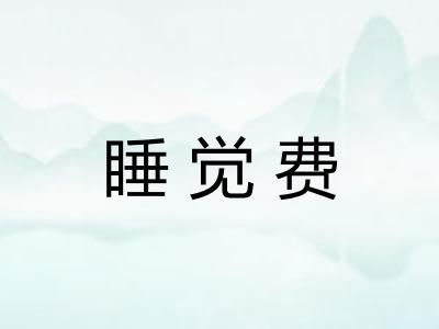 睡觉费