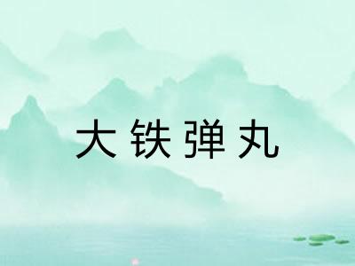 大铁弹丸