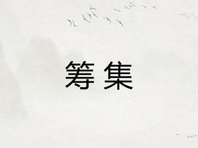 筹集