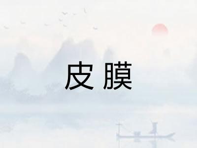 皮膜
