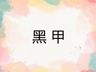 黑甲