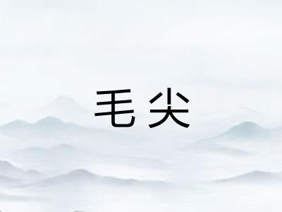 毛尖