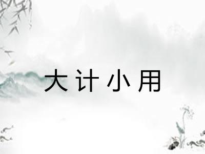大计小用