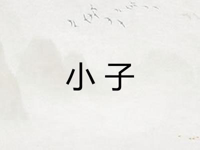 小子