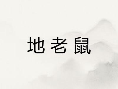 地老鼠