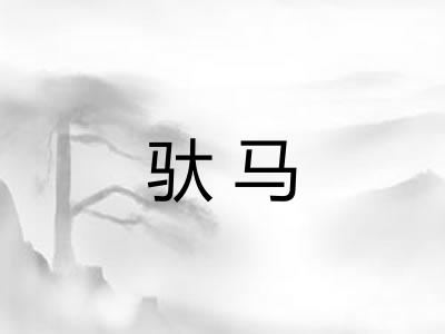驮马