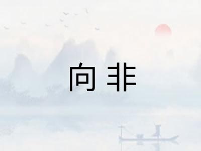 向非