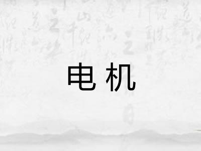 电机