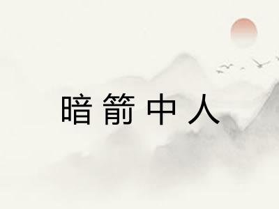 暗箭中人 暗箭中人