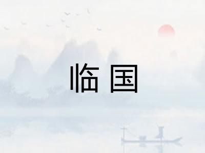 临国