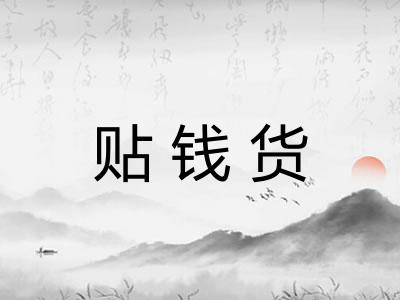 贴钱货
