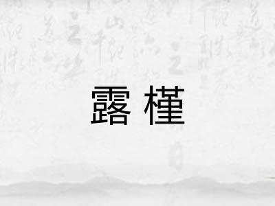 露槿