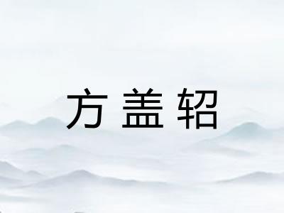 方盖轺