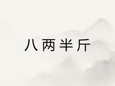 八两半斤