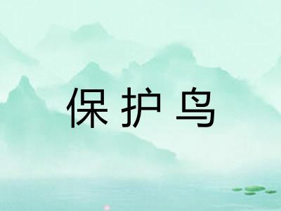 保护鸟