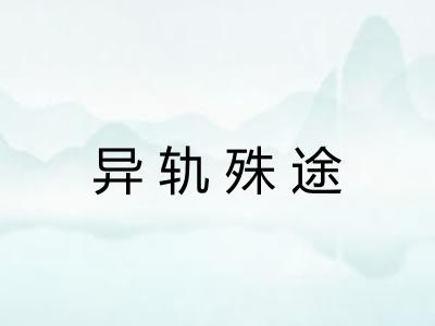 异轨殊途