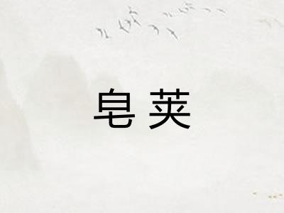 皂荚
