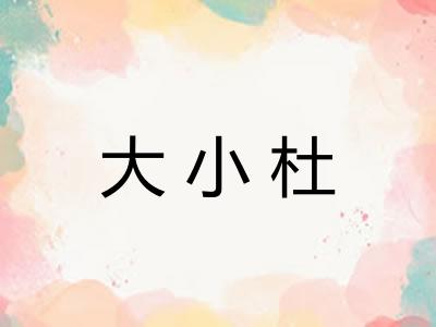 大小杜