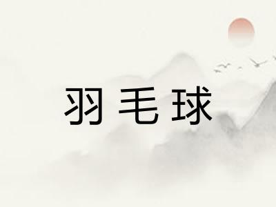 羽毛球
