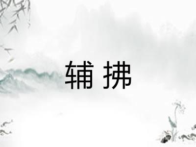 辅拂