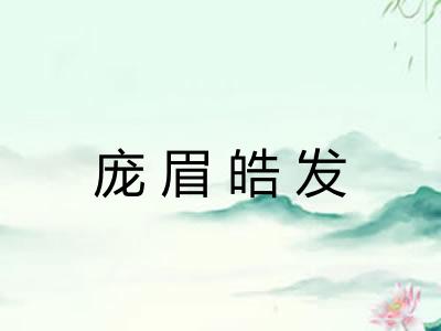 庞眉皓发