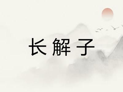 长解子