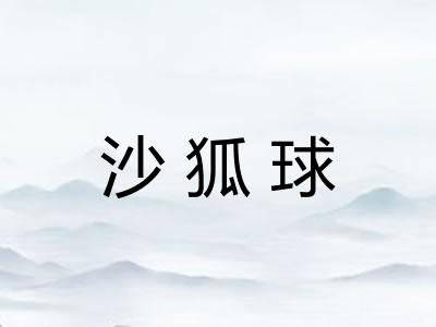 沙狐球