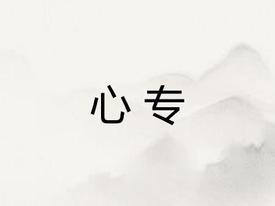 心专