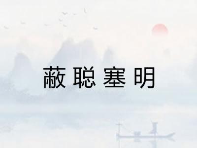 蔽聪塞明