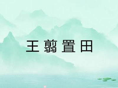 王翦置田