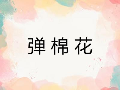 弹棉花