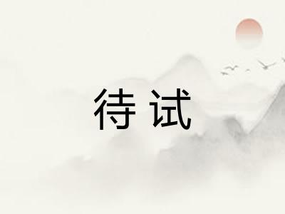 待试