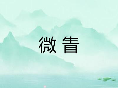 微眚