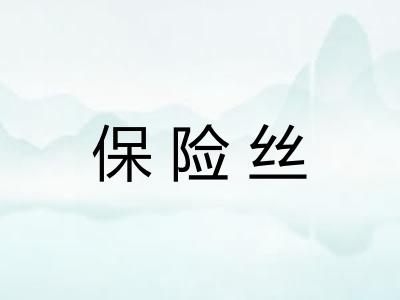 保险丝