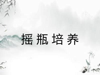 摇瓶培养