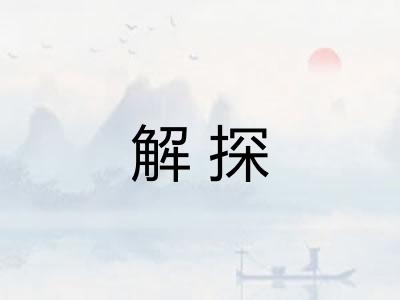 解探