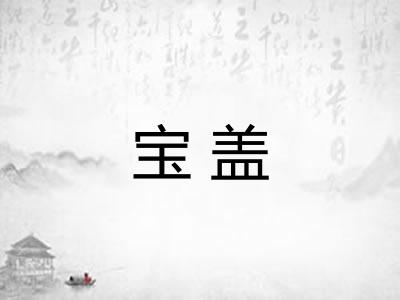 宝盖