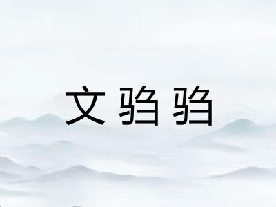 文驺驺