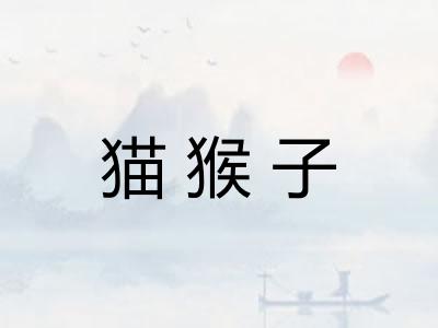 猫猴子