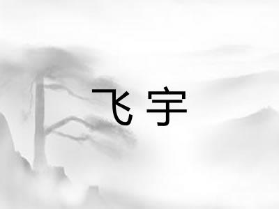 飞宇