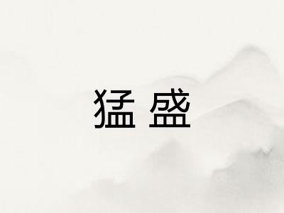 猛盛